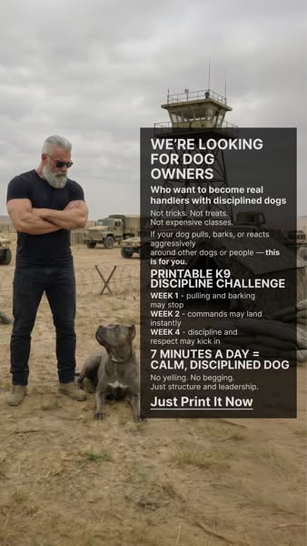 Paw Champ K9 discipline challenge ad