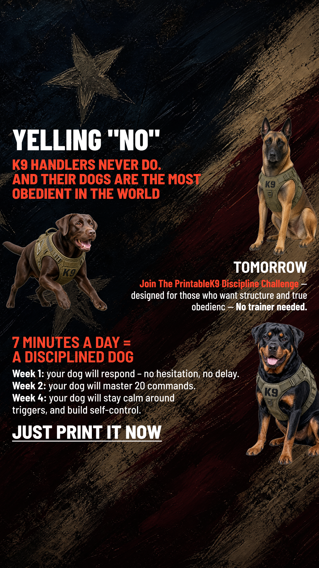 Woofz K9 discipline ad