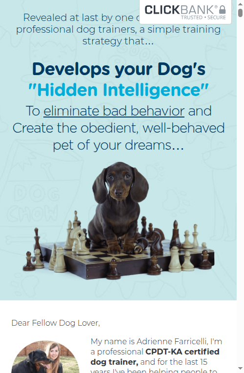 Brain Training for Dogs — Hidden Intelligence hook
